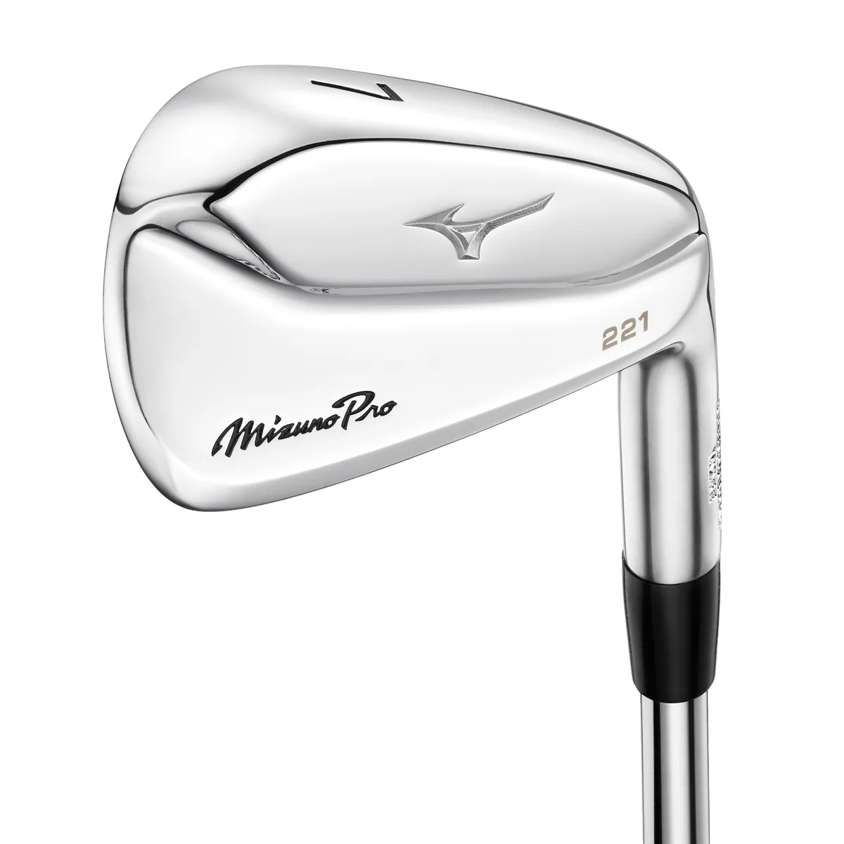 Mizuno Pro 221