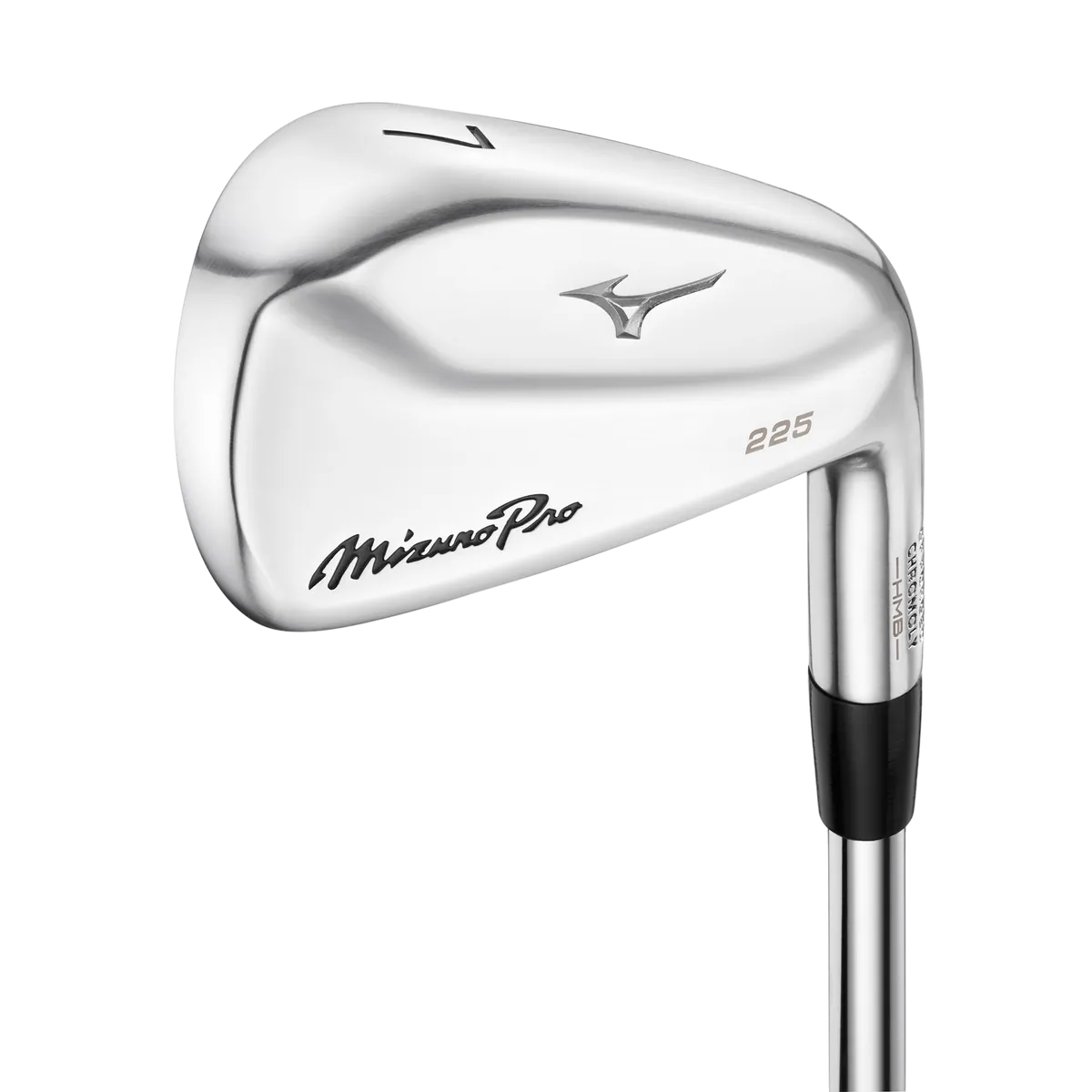 Mizuno Pro 225