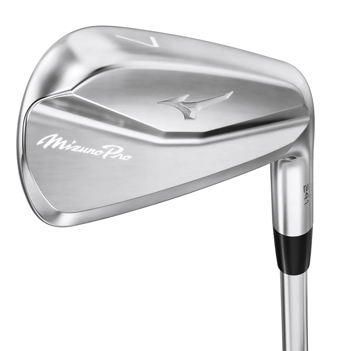Mizuno Pro 245